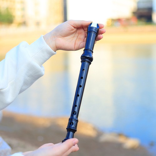 Flute cleaning rod alto - cleaning,