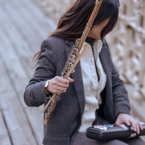 Flute cleaning wooden rod - cleaning,