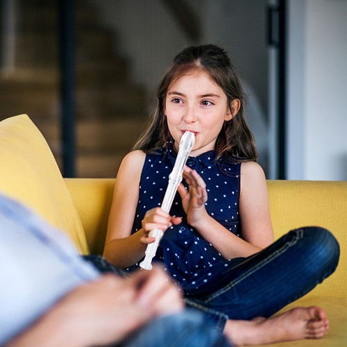 Hole beginner recorder flute - hole,
